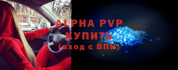 СК Касимов