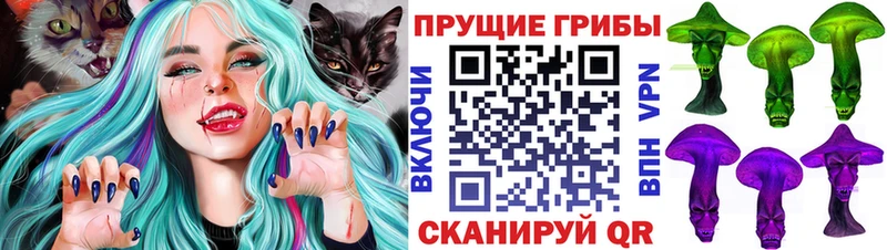Галлюциногенные грибы GOLDEN TEACHER  где купить   даркнет формула  Мариинский Посад 